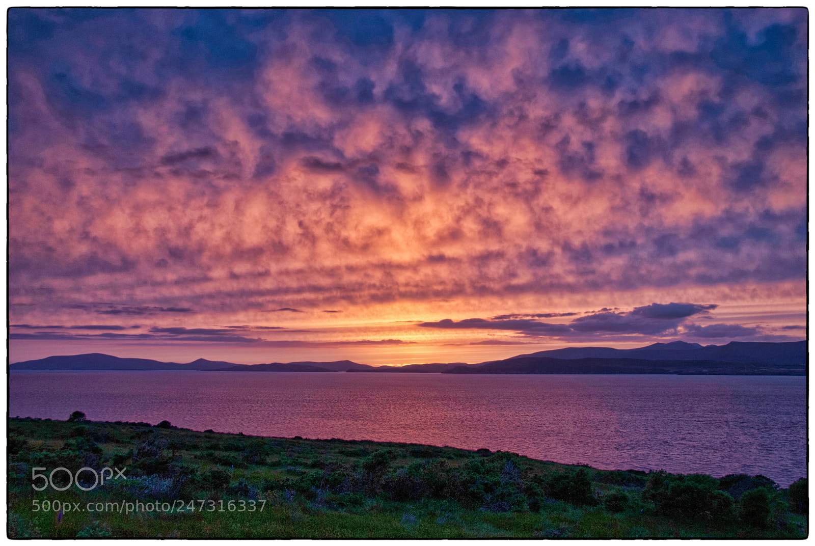 Nikon D80 sample photo. Dingle bay at sunset photography