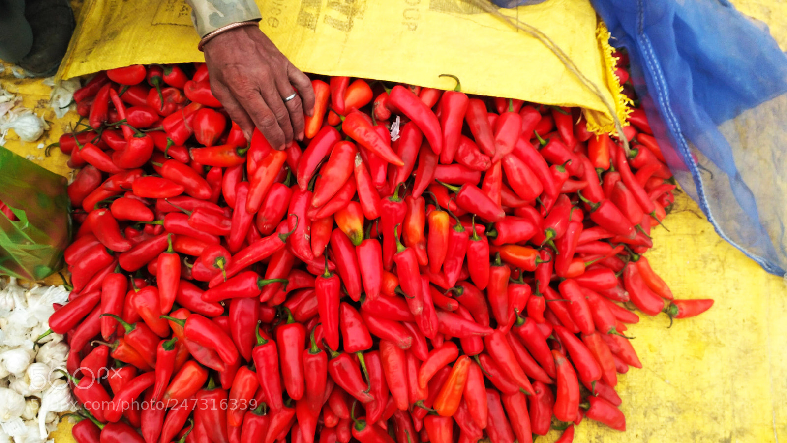 Xiaomi Redmi 3S sample photo. -red chilli ? - photography