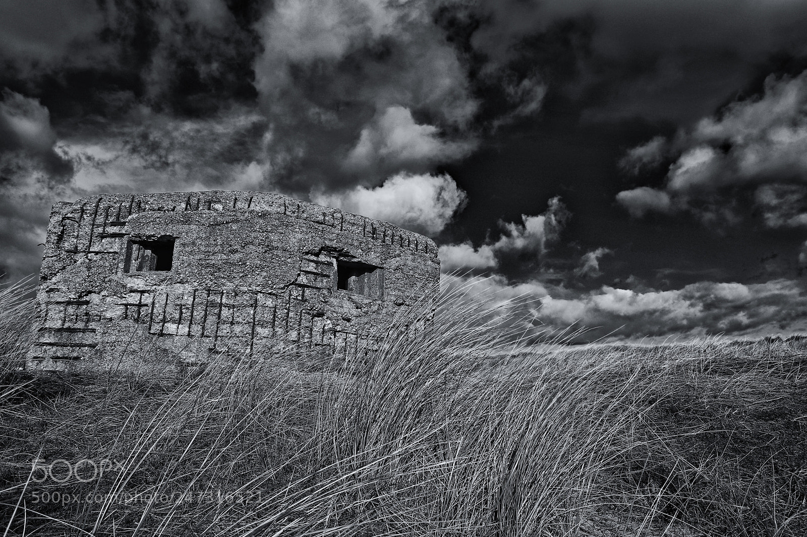 Canon EOS 77D (EOS 9000D / EOS 770D) sample photo. Horsey gap bw img photography