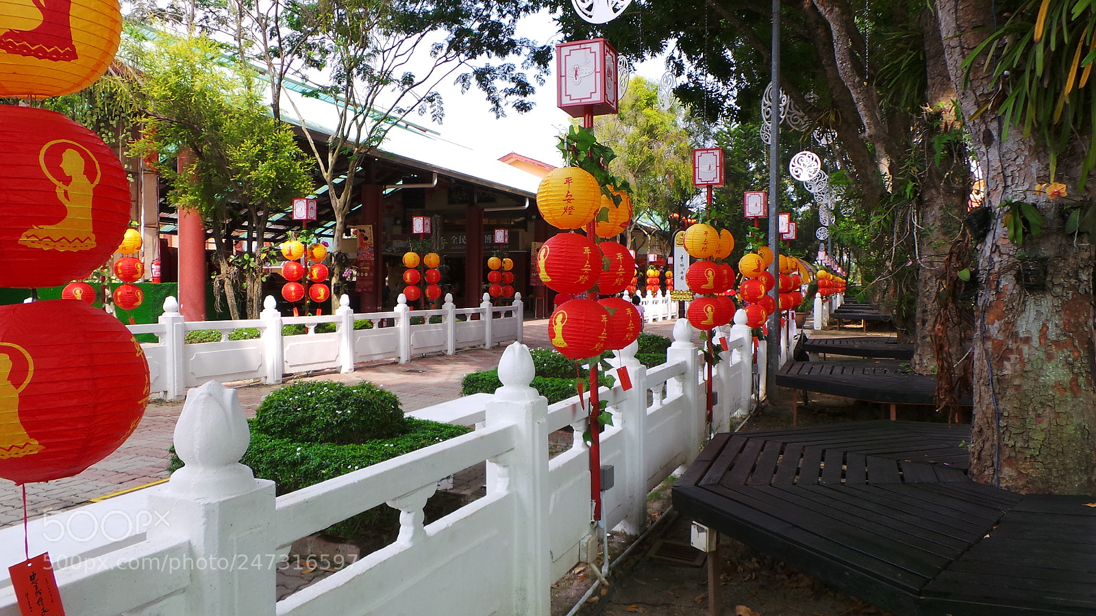Samsung Galaxy Camera (Wi-Fi) sample photo. Chinese new year photography