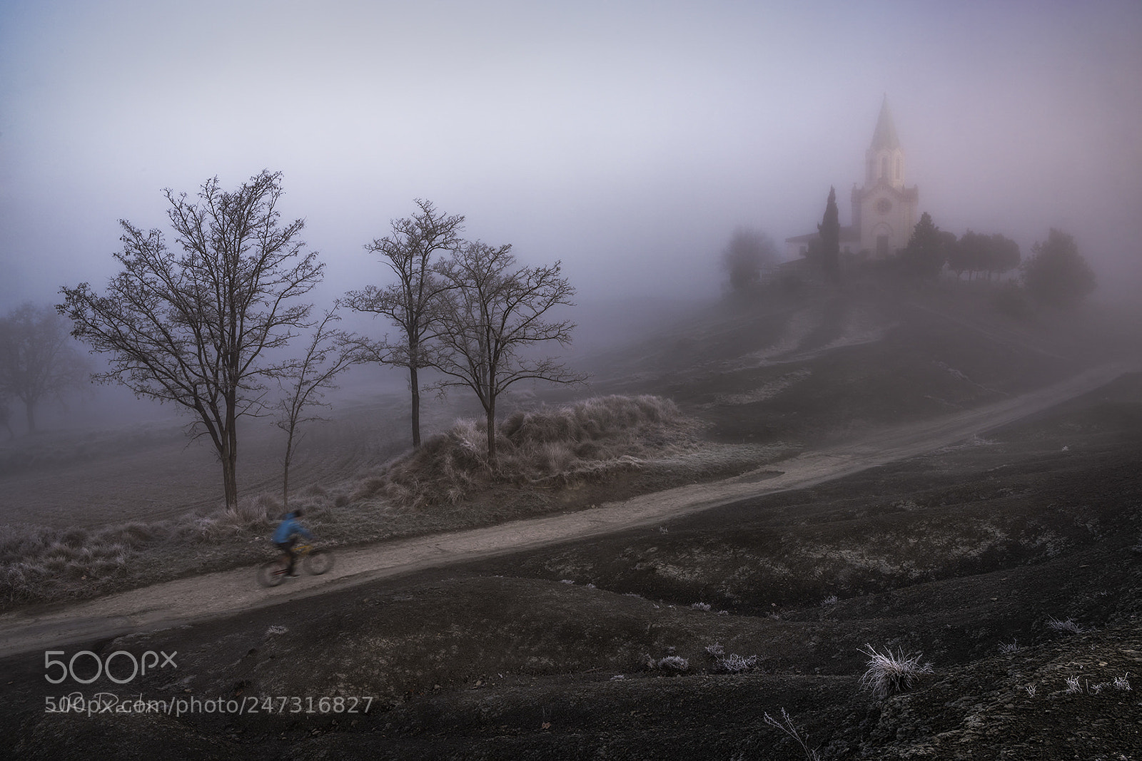 Nikon D810 sample photo. Puig-agut. photography