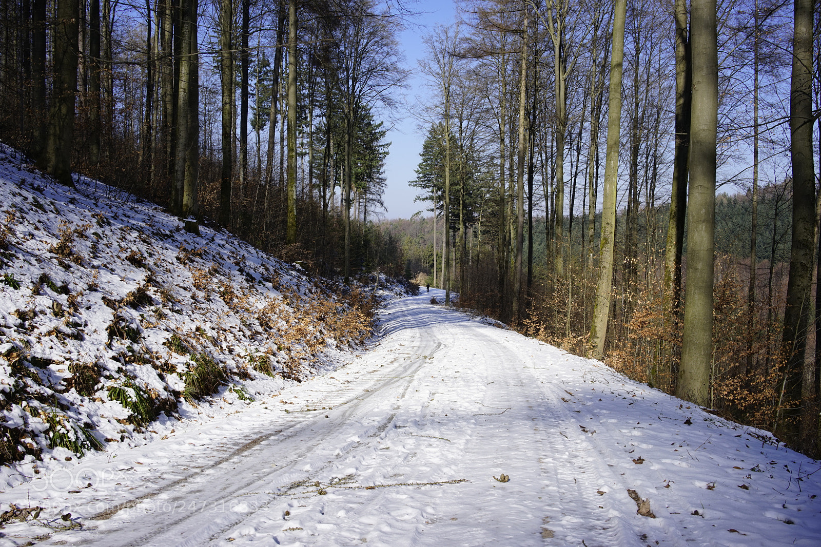 Sony a7 sample photo. Februar photography