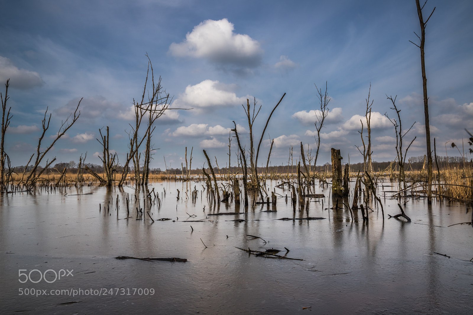 Canon EOS 6D Mark II sample photo. Desolate landscape photography