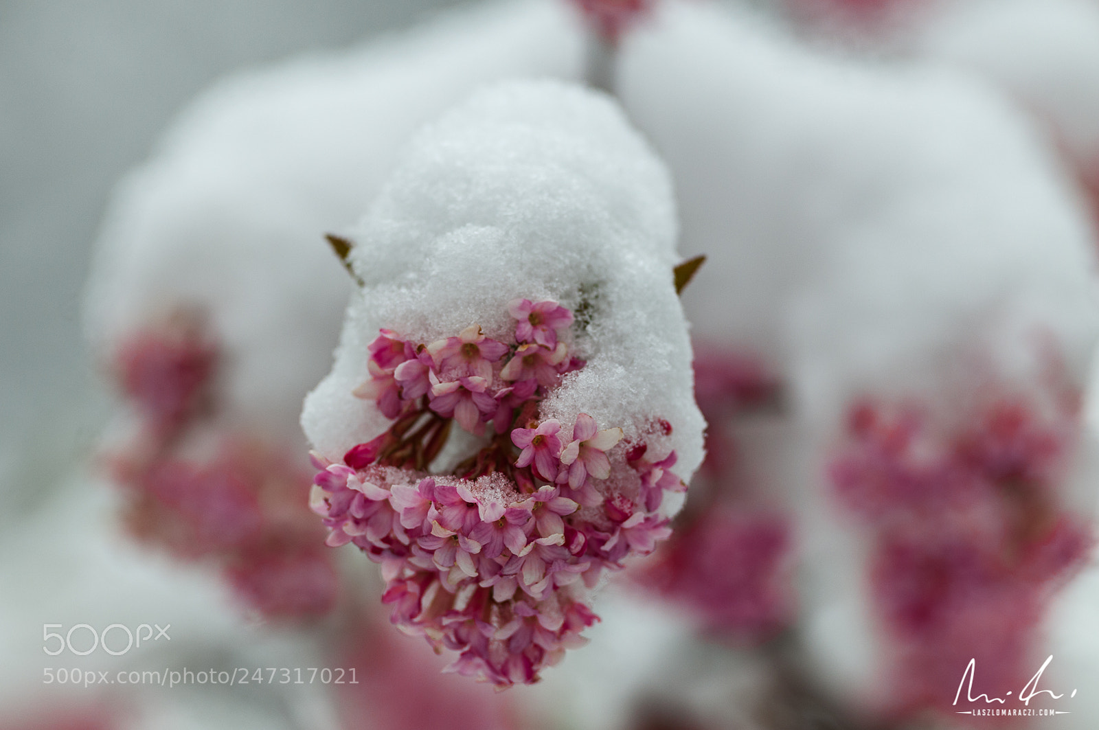 Nikon D300 sample photo. Early spring-late winter photography