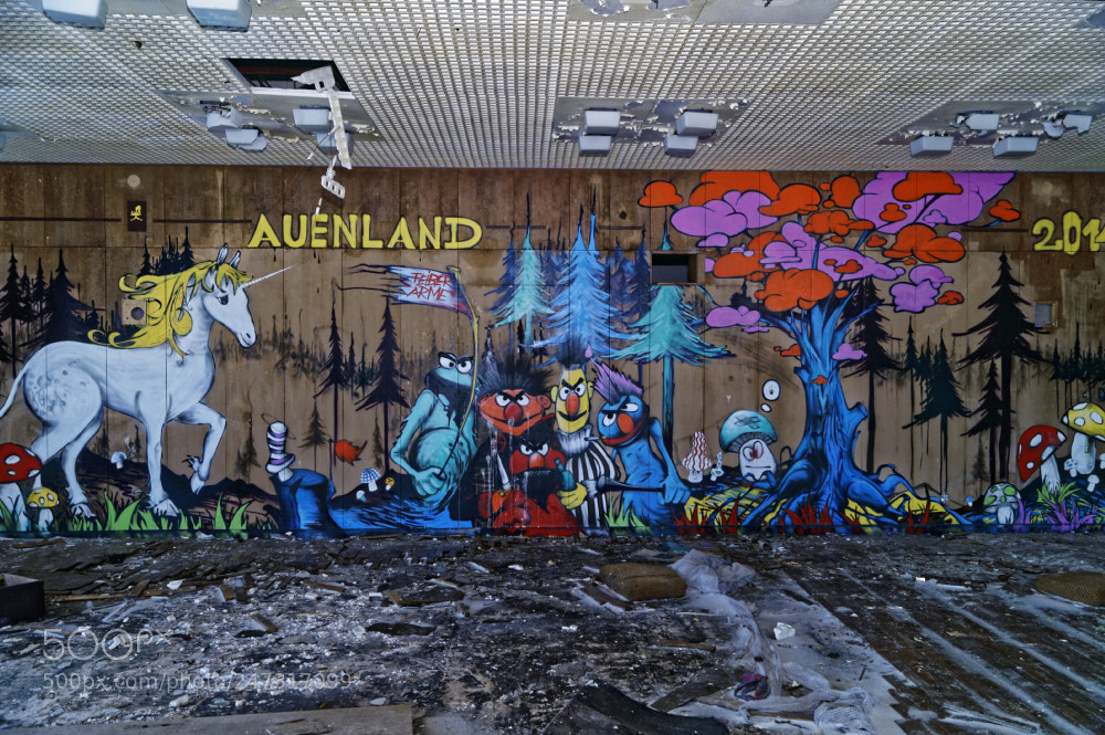 Sony SLT-A58 sample photo. Kunst am bau photography