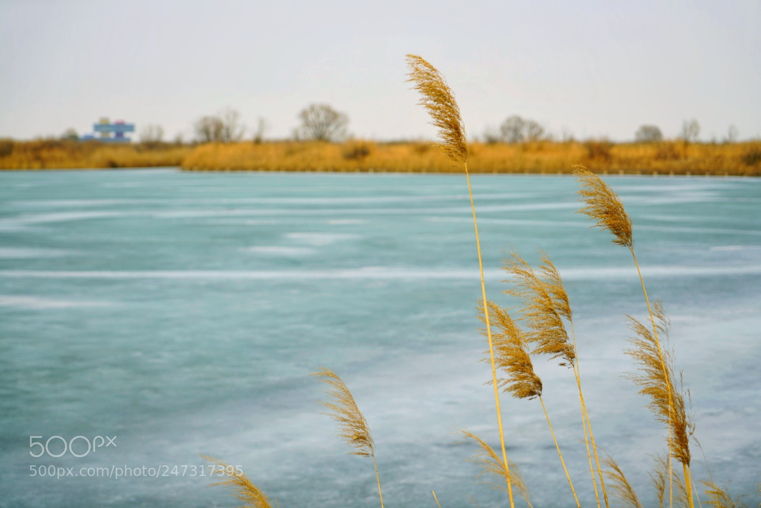 Sony a7R II sample photo. Untitled photography