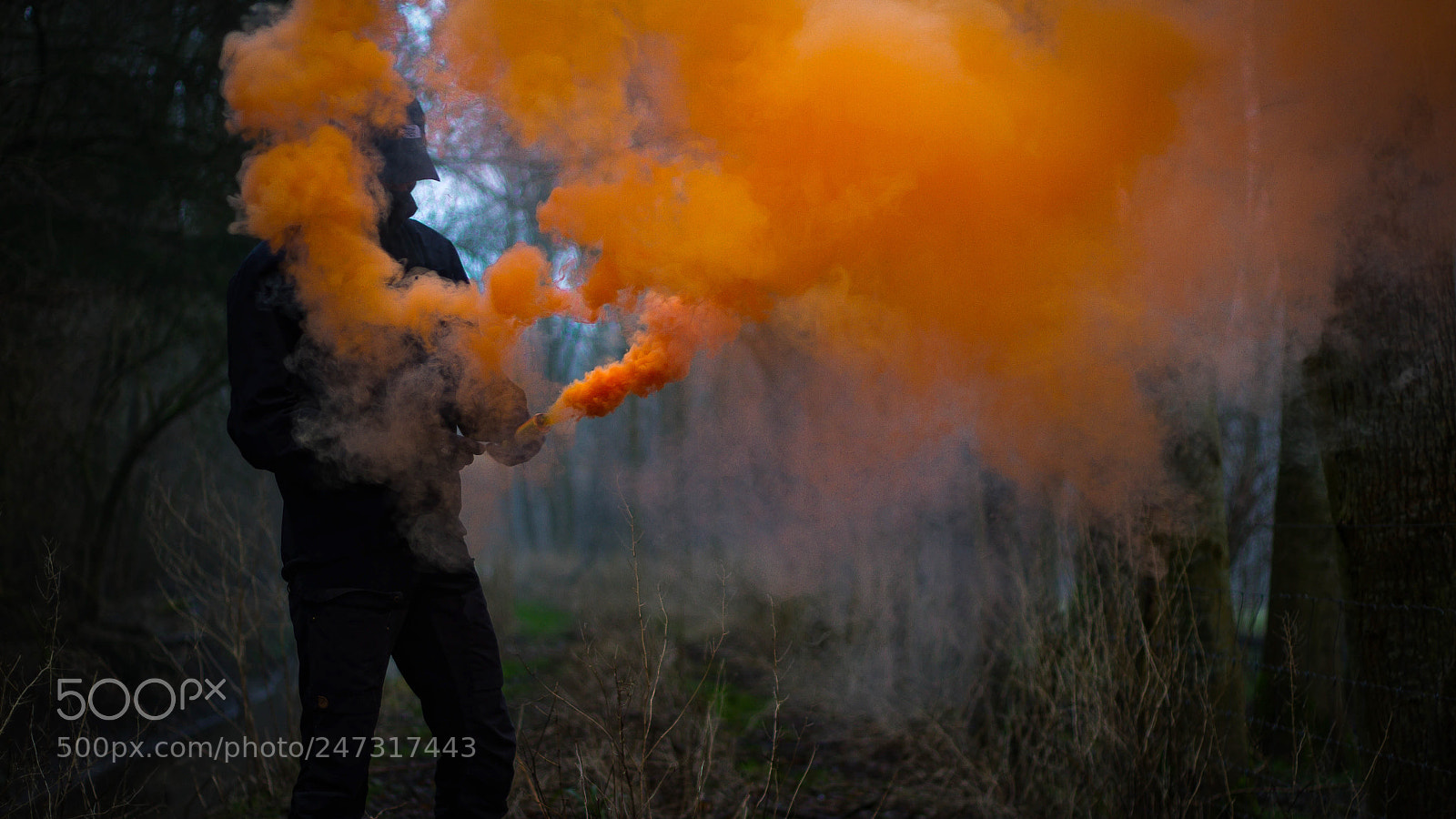 Canon EOS 7D sample photo. Smokey forrest photography