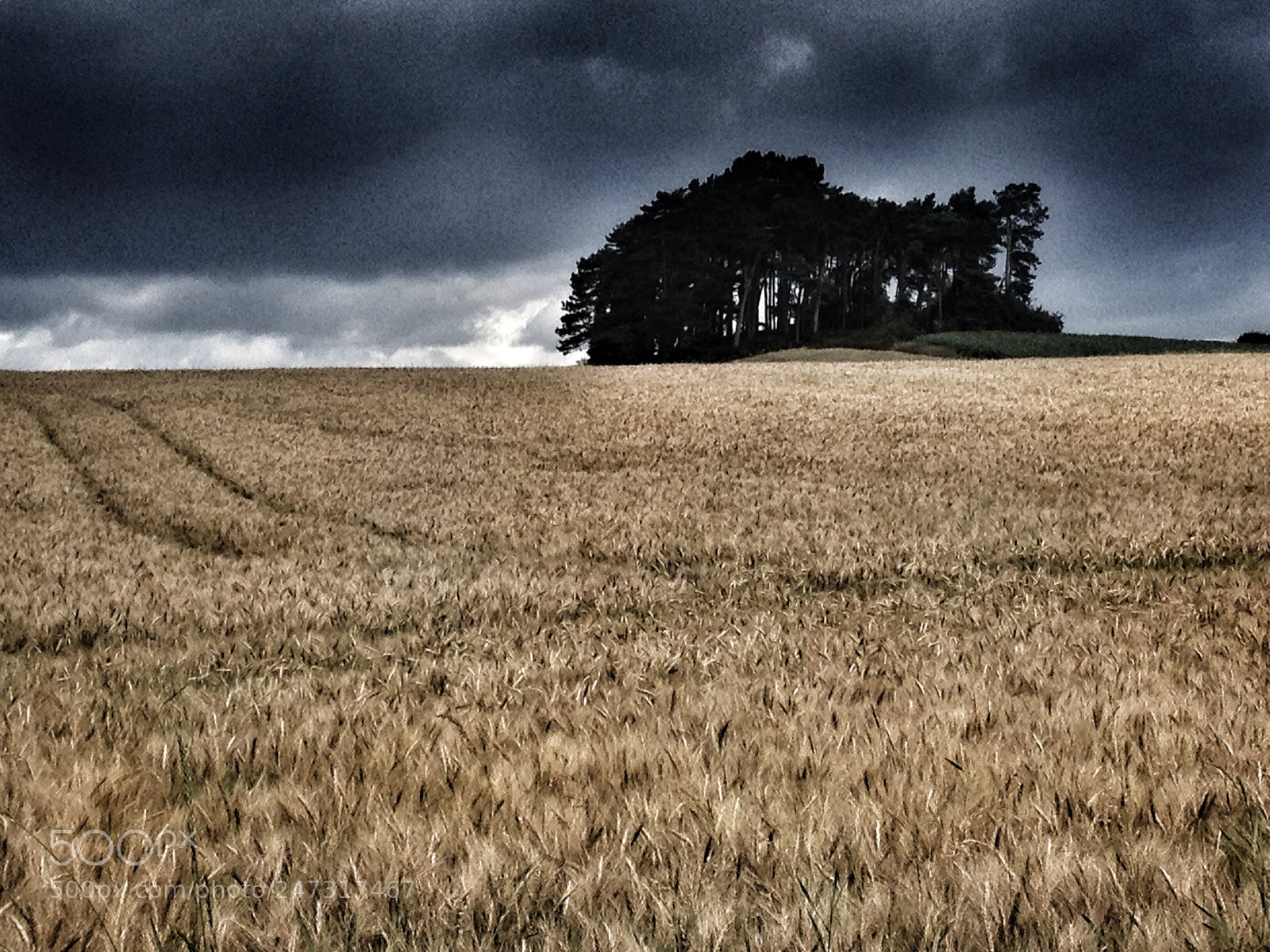 Apple iPhone 4S sample photo. Bulkley hill photography