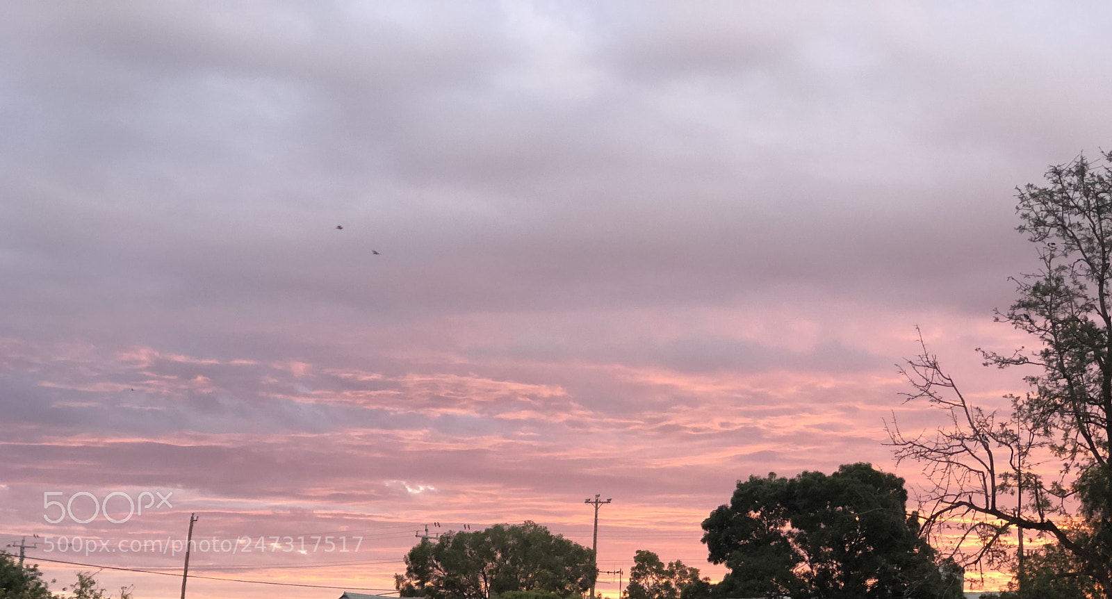 Apple iPhone 8 Plus sample photo. Untitled photography