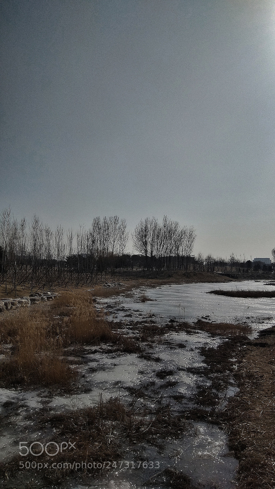 Xiaomi Redmi Note 4X sample photo. 14 photography
