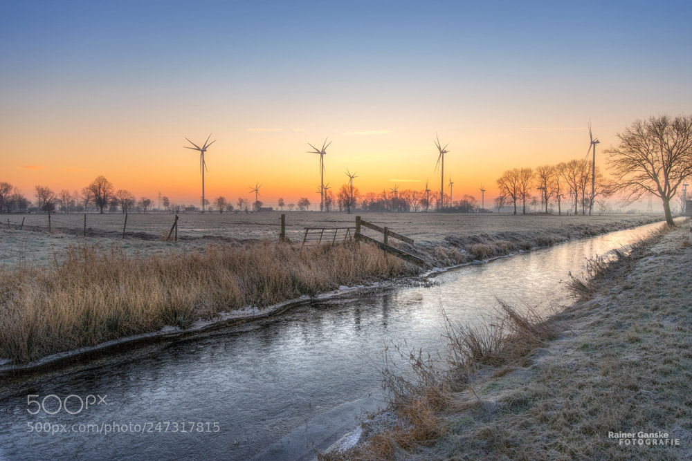Sony a7 II sample photo. Cold morning photography
