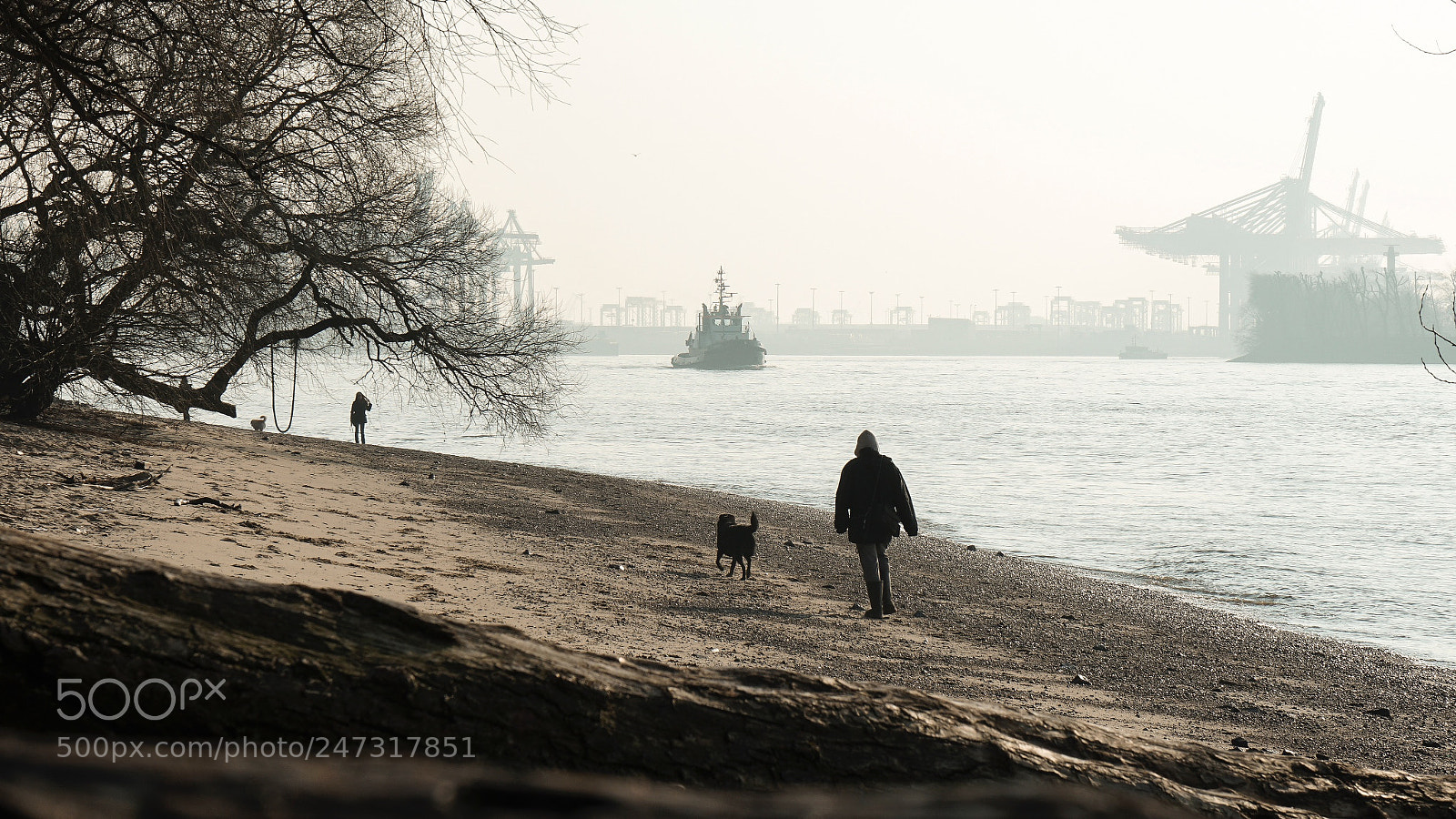 Sony a7R II sample photo. Hamburg harbour photography
