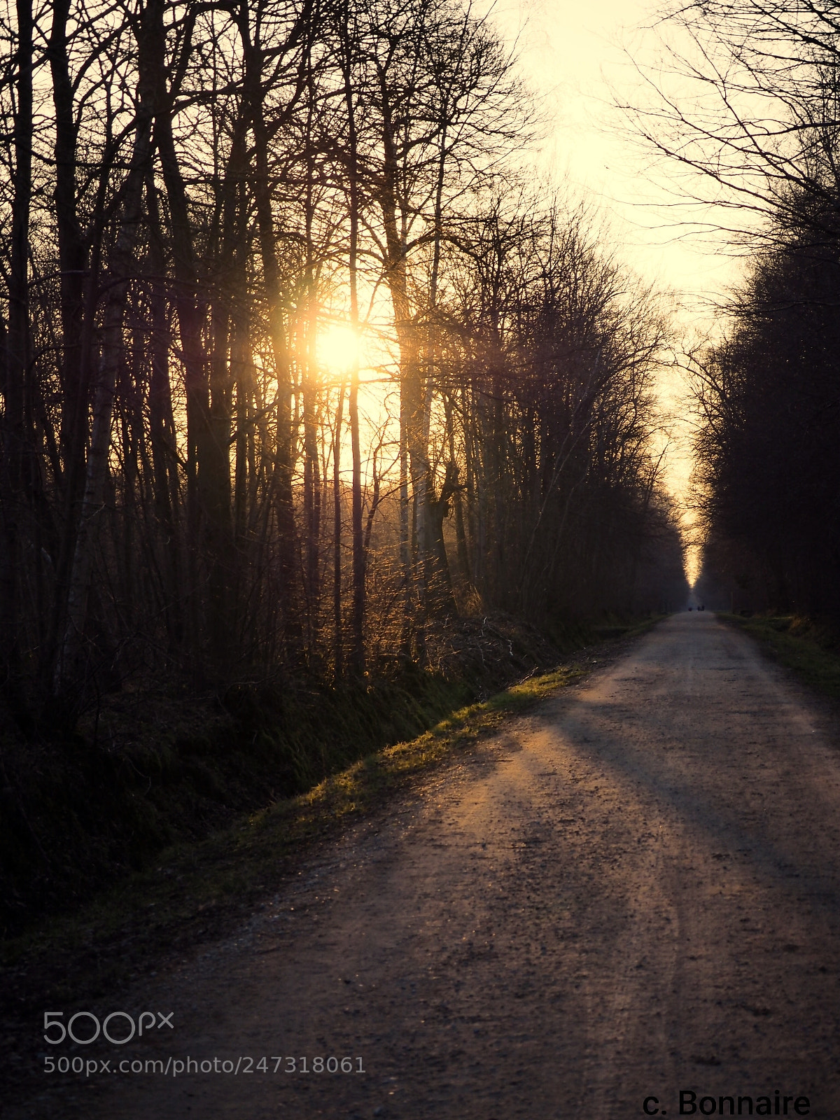 Olympus OM-D E-M10 sample photo. Sunset after walk photography