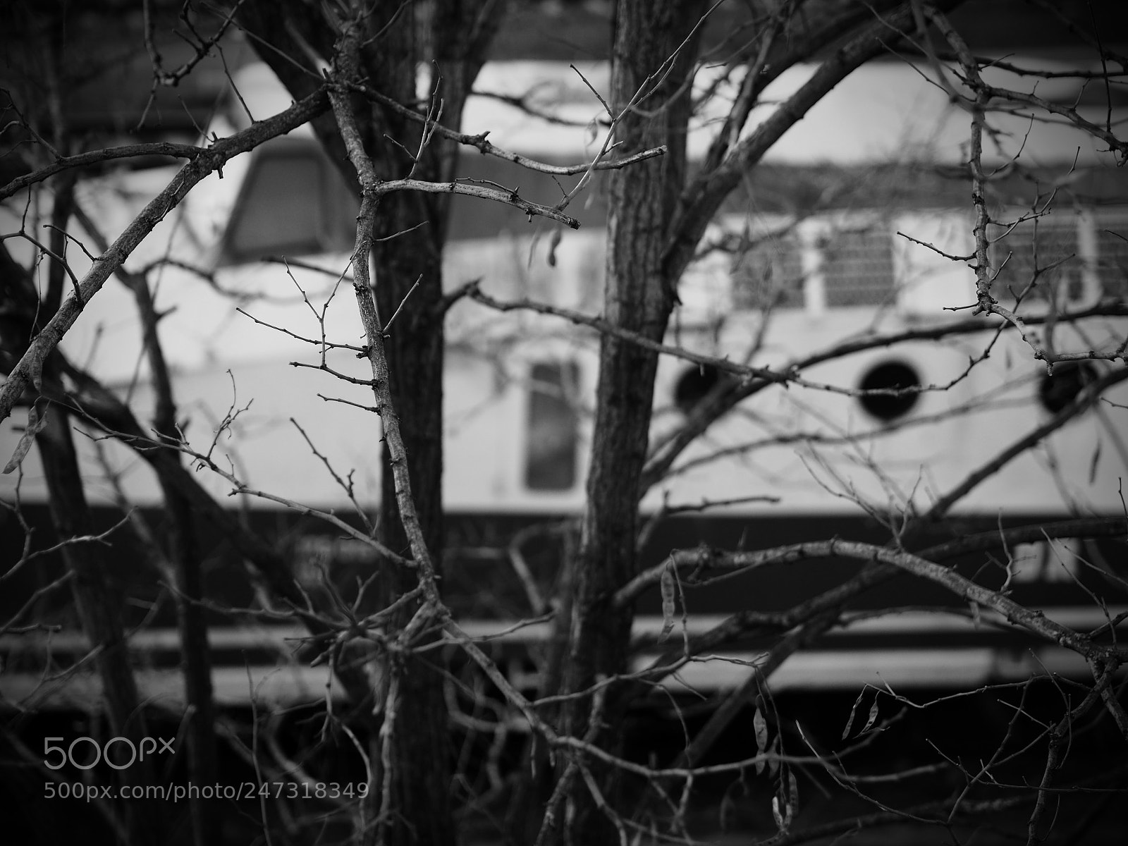 Olympus PEN-F sample photo. 0027 photography