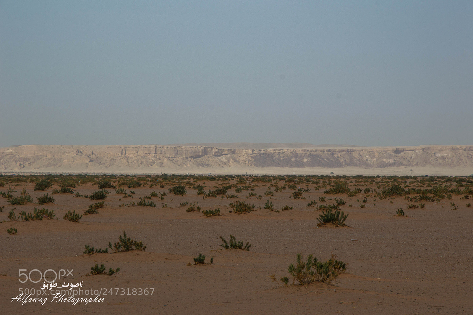 Nikon D3200 sample photo. Untitled photography
