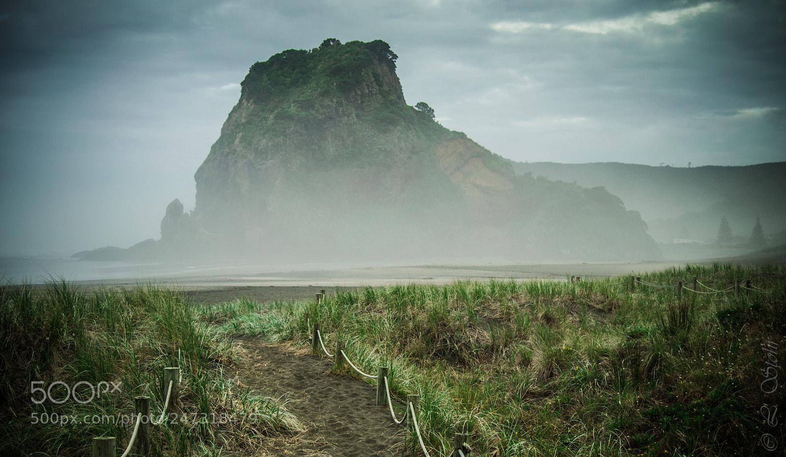 Nikon D3100 sample photo. Foggy lions rock photography