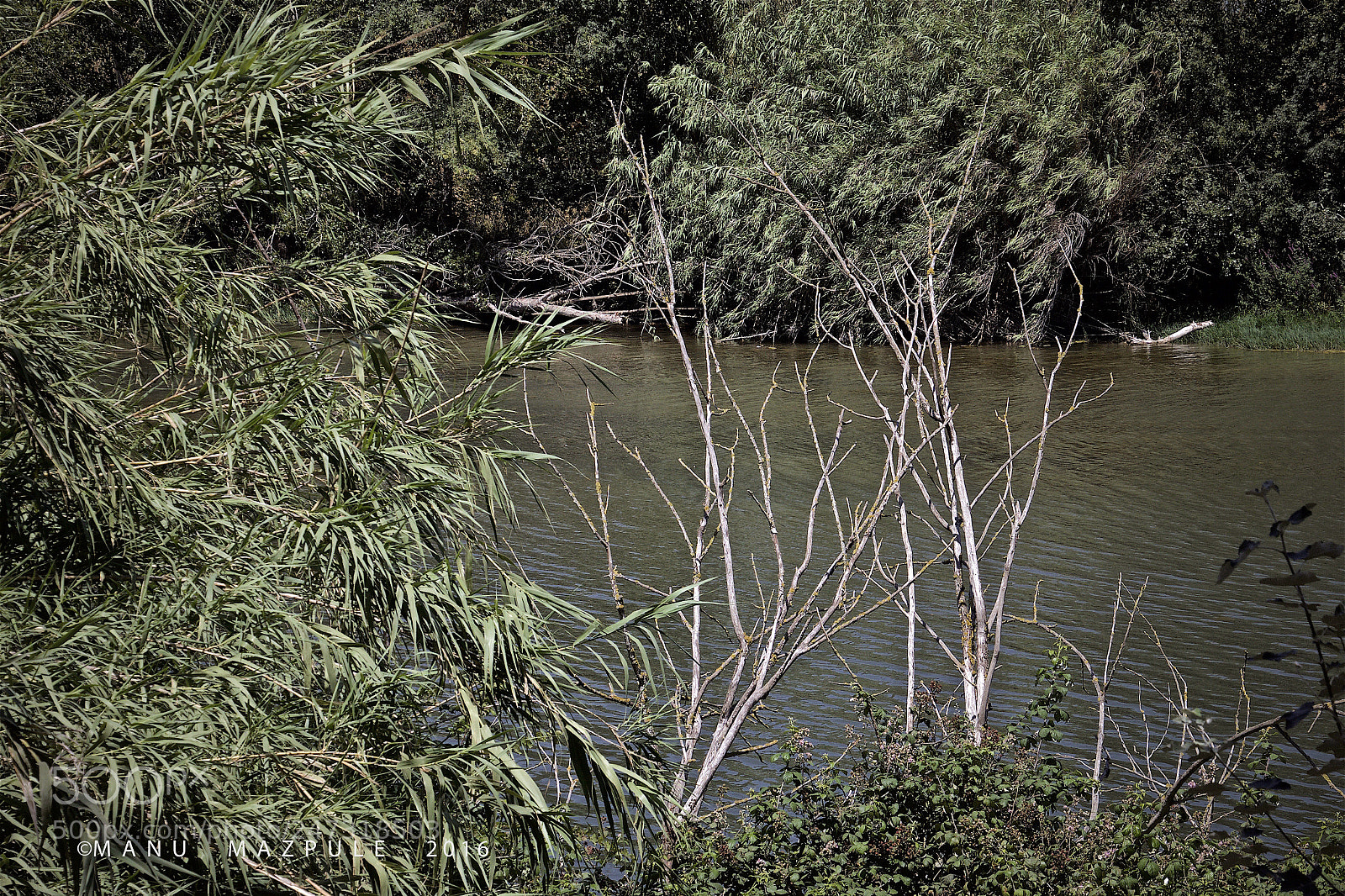 Canon EOS 70D sample photo. 166. girona. catalunya. fluviá river... photography