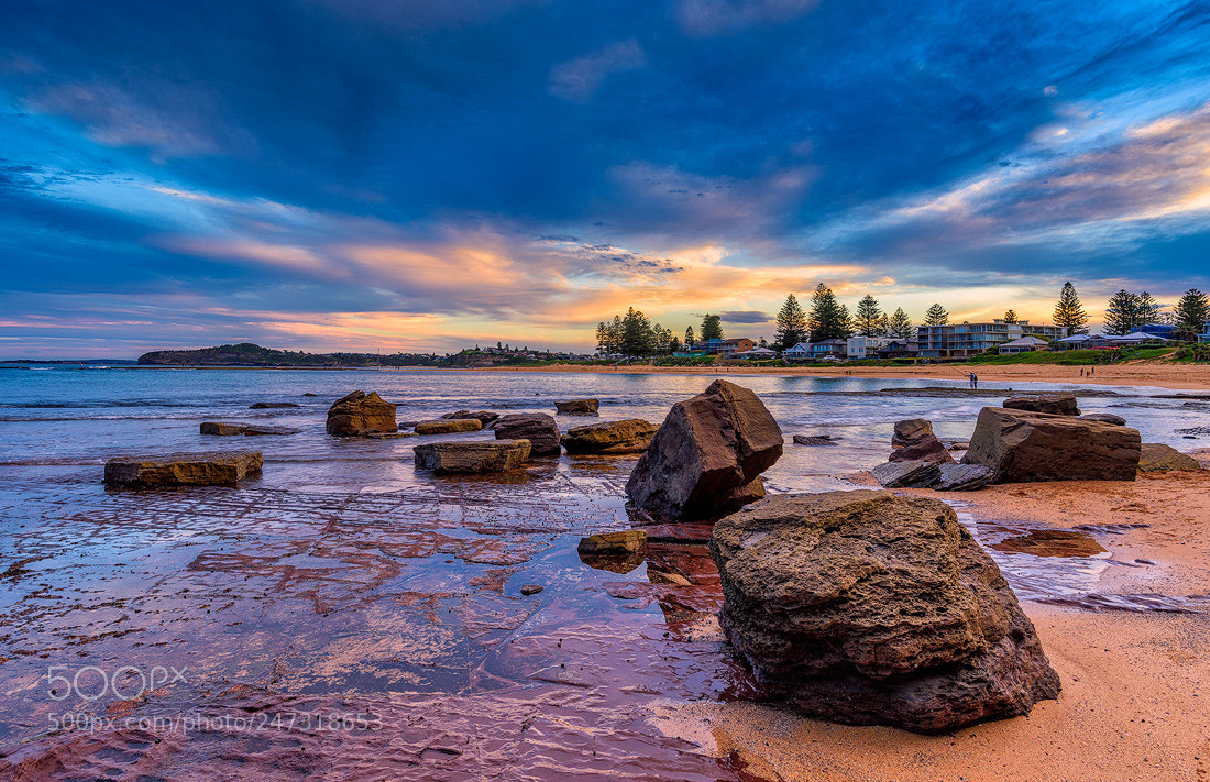 Nikon D810 sample photo. Mona vale photography