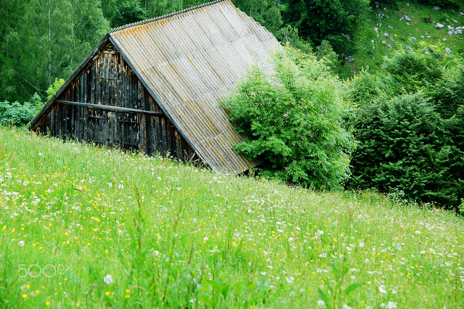 Nikon D50 sample photo. Hiden house photography