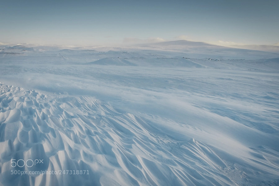 Canon EOS-1D Mark III sample photo. Icecreamland photography
