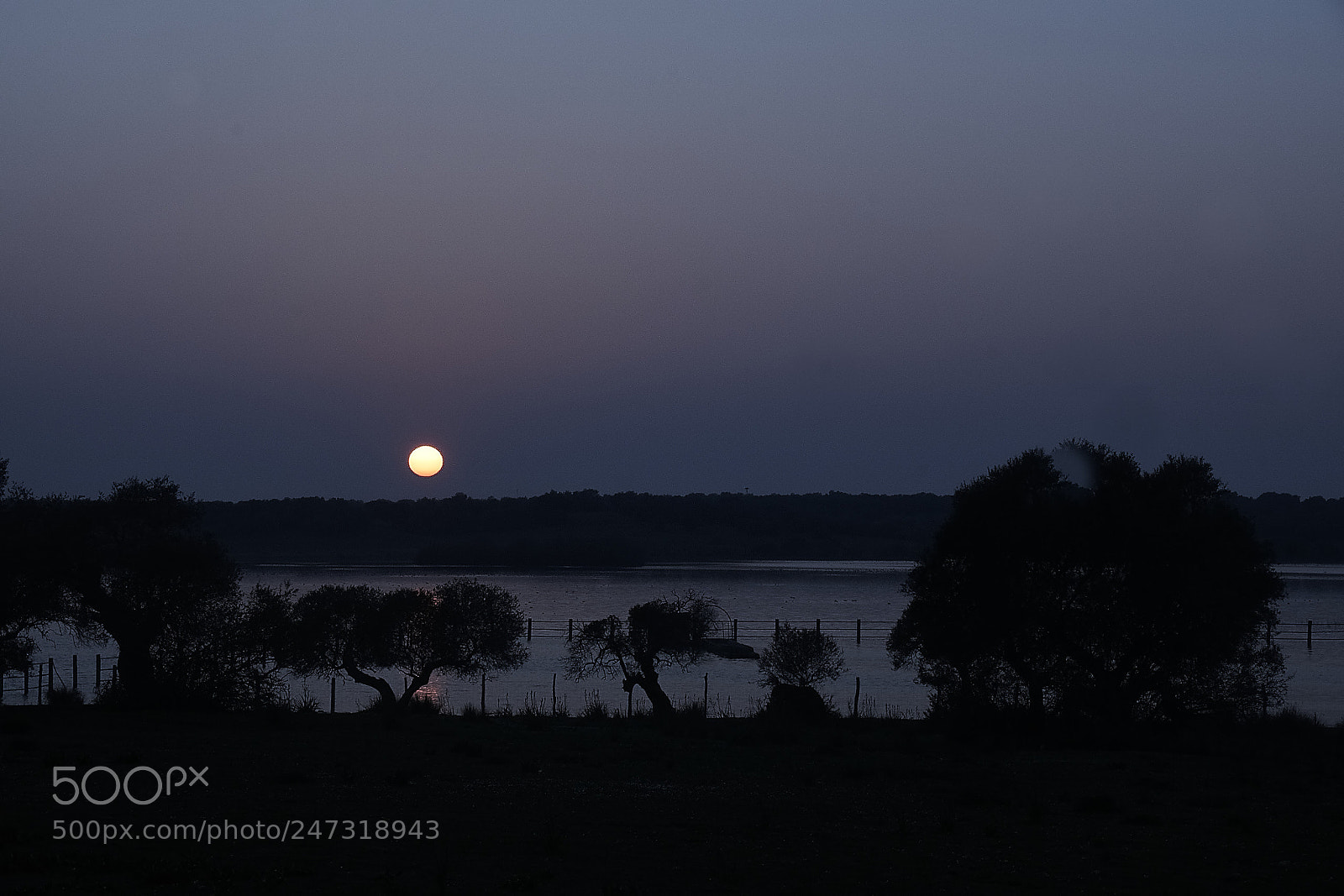 Sony ILCA-77M2 sample photo. Cold sunset photography