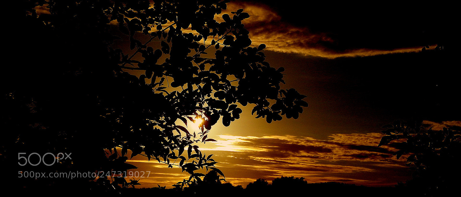 Fujifilm FinePix SL1000 sample photo. Colors in the morning .... photography