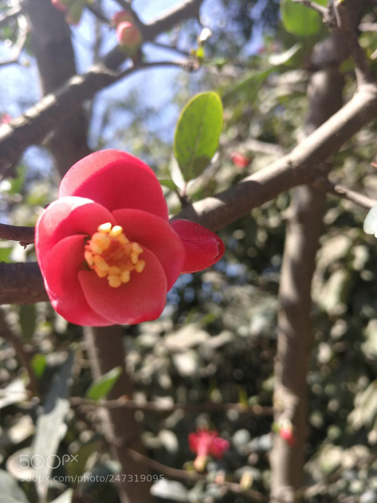 HUAWEI Mate 9 sample photo. Untitled photography