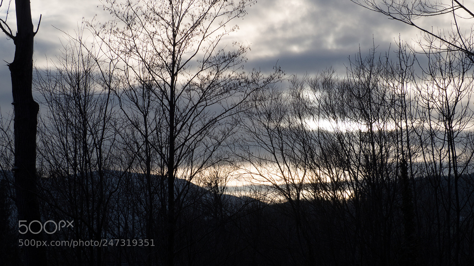Olympus OM-D E-M10 II sample photo. Winter sunset photography
