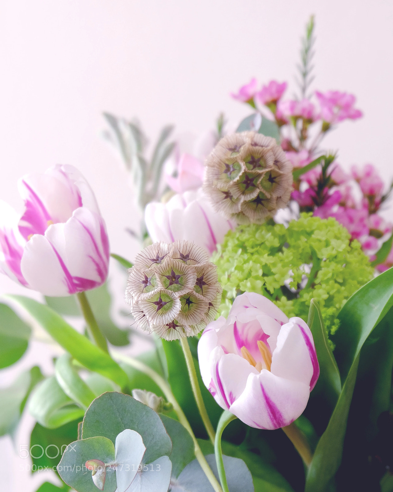 Fujifilm X-T10 sample photo. Spring flowers photography