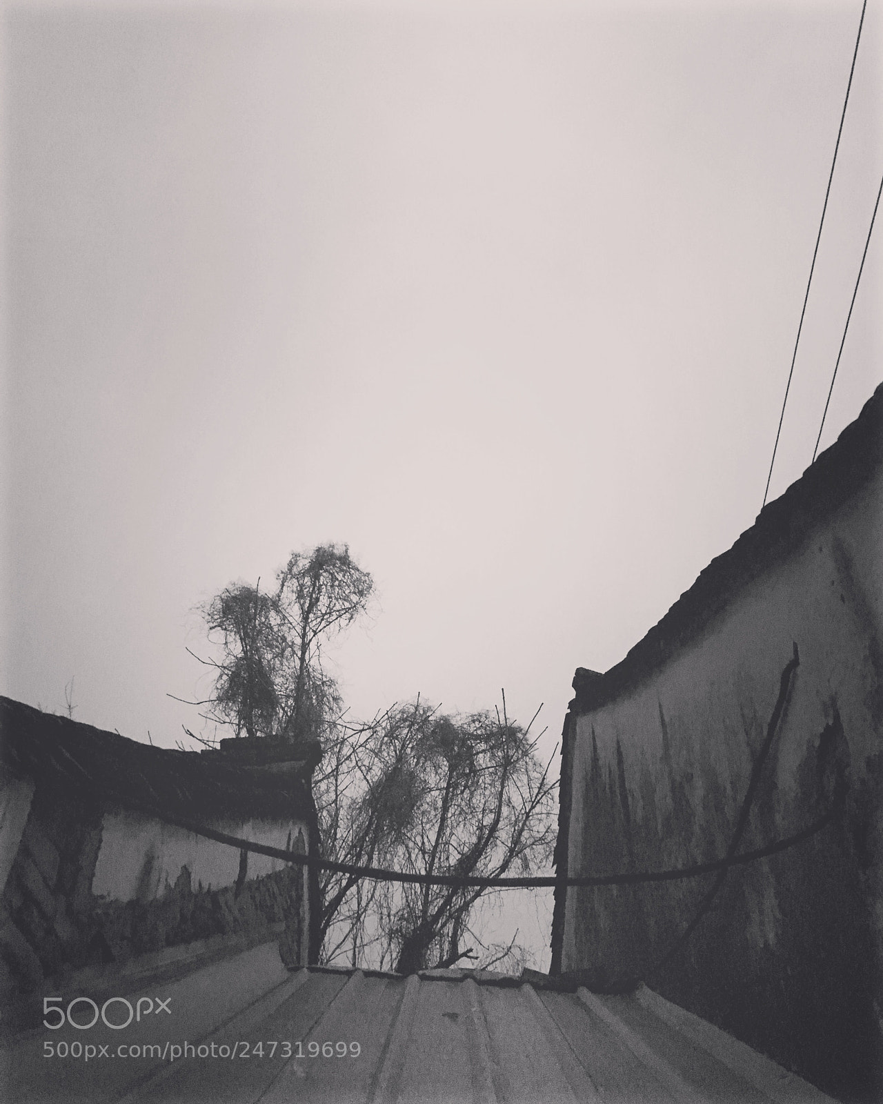 Apple iPhone 6s sample photo. Untitled photography