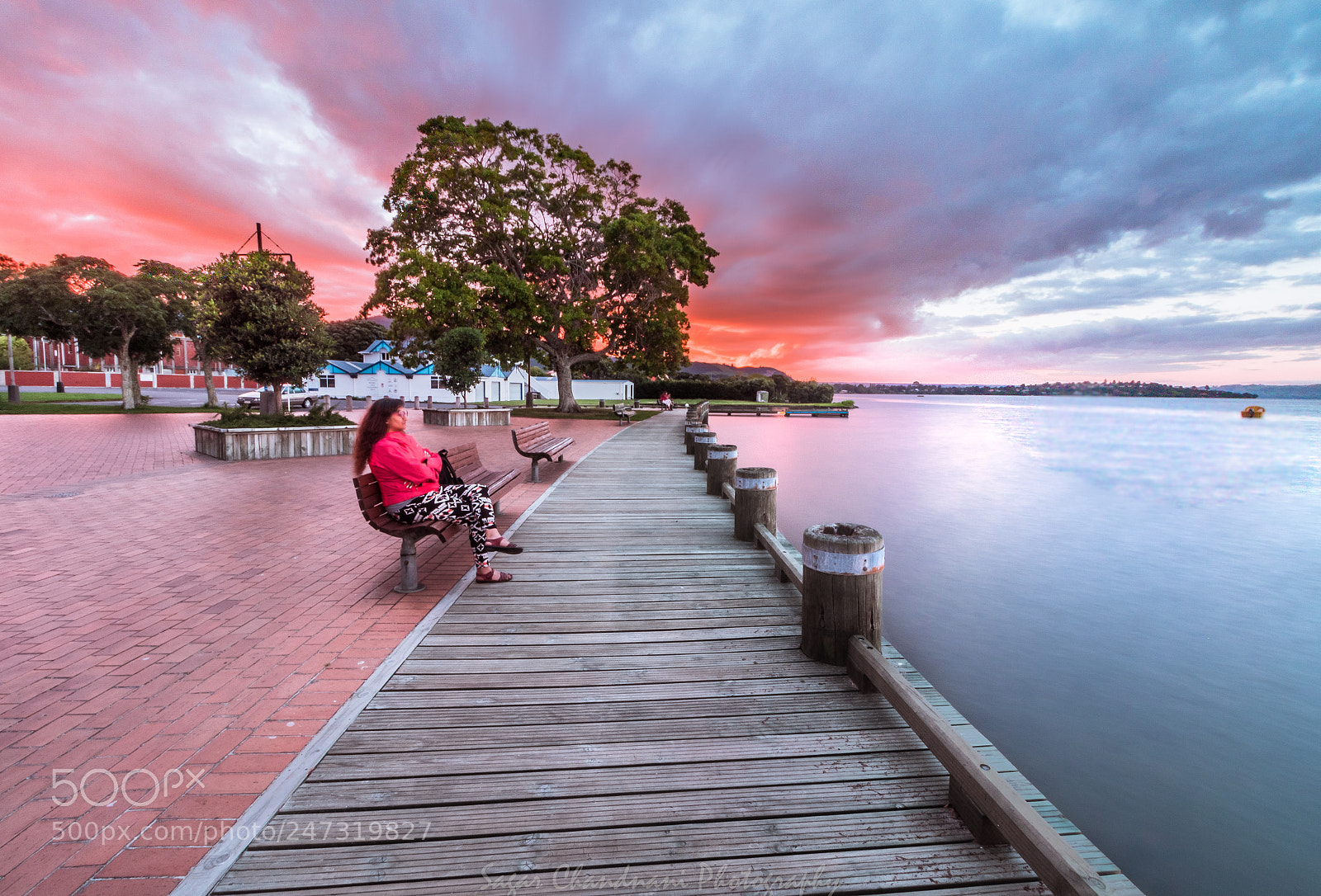 Canon EOS 7D Mark II sample photo. Watching lake rotorua photography