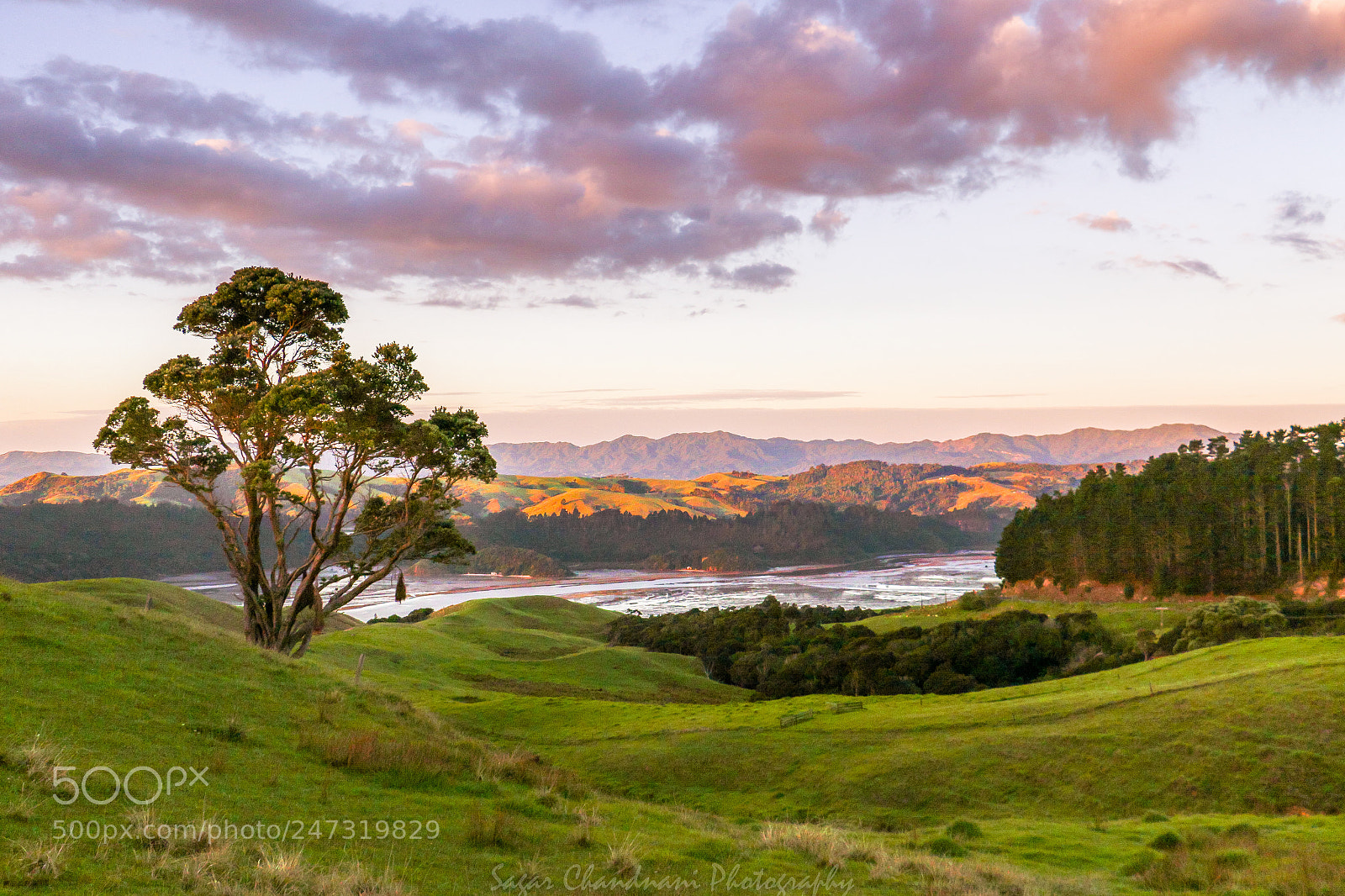 Canon EOS 7D Mark II sample photo. Somewhere in nz photography