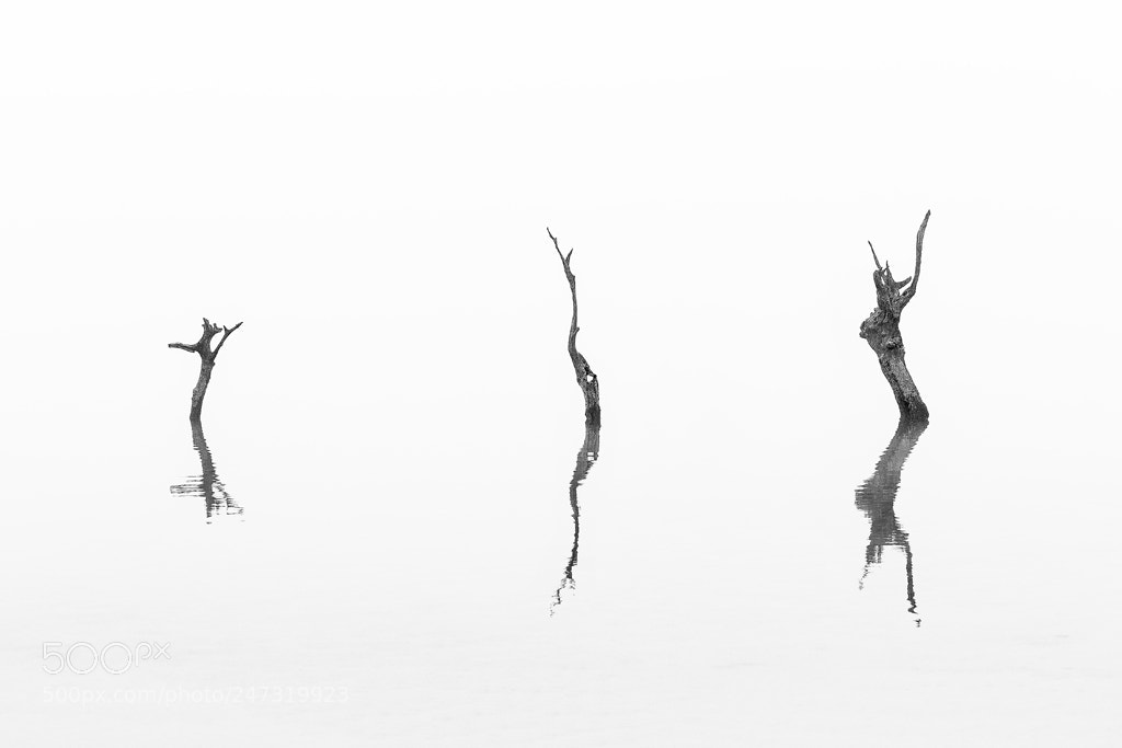 Nikon D810 sample photo. Bailarines photography
