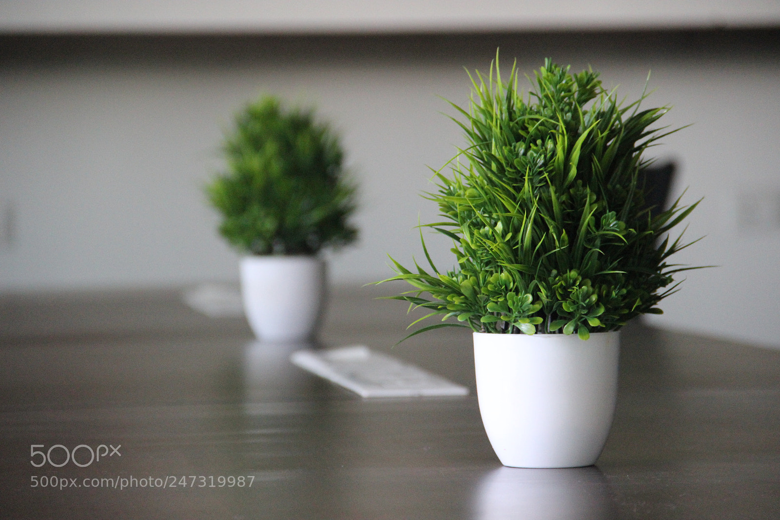Canon EF-S 18-135mm F3.5-5.6 IS sample photo. Img photography