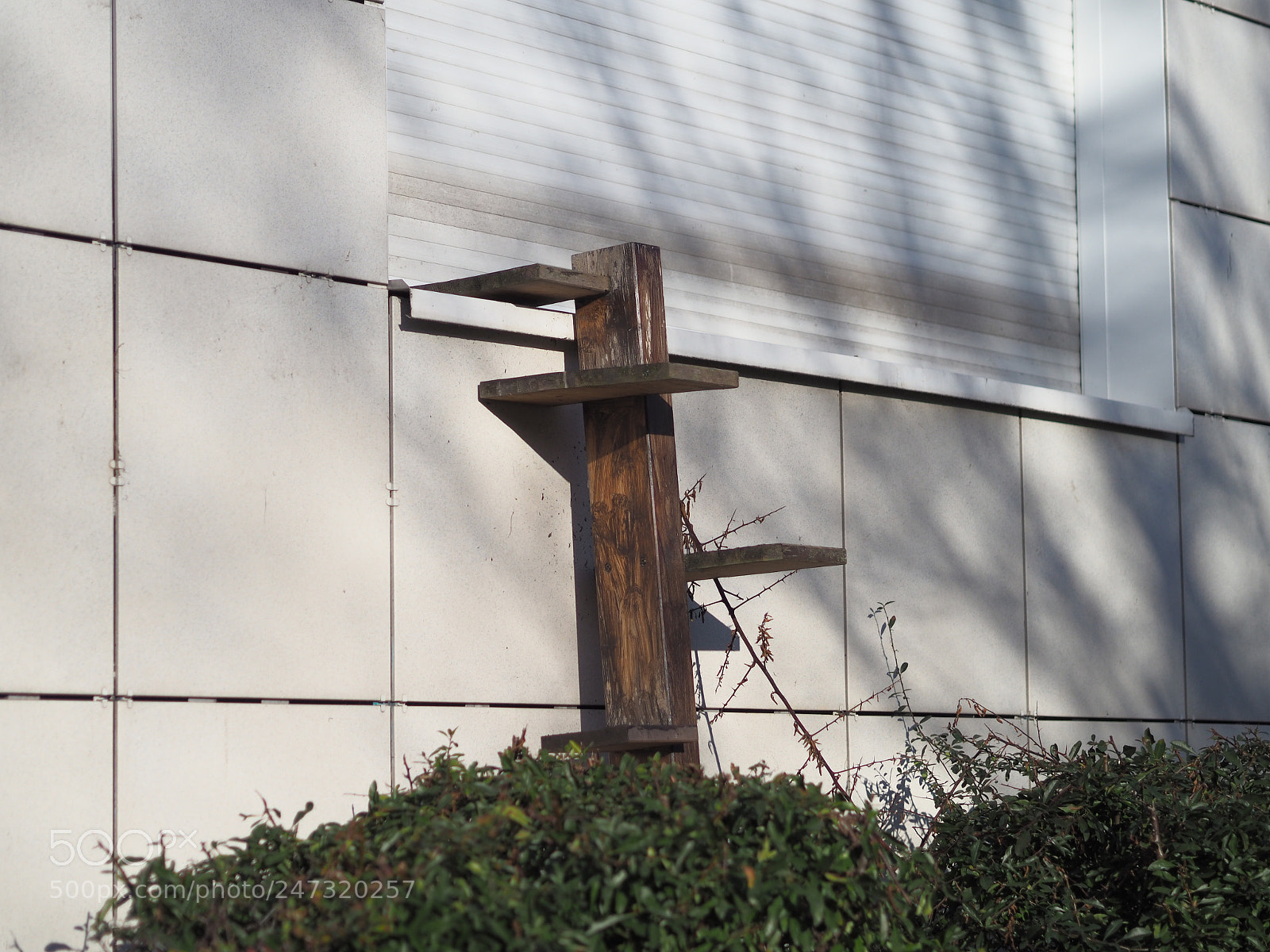 Olympus PEN-F sample photo. 0039 photography