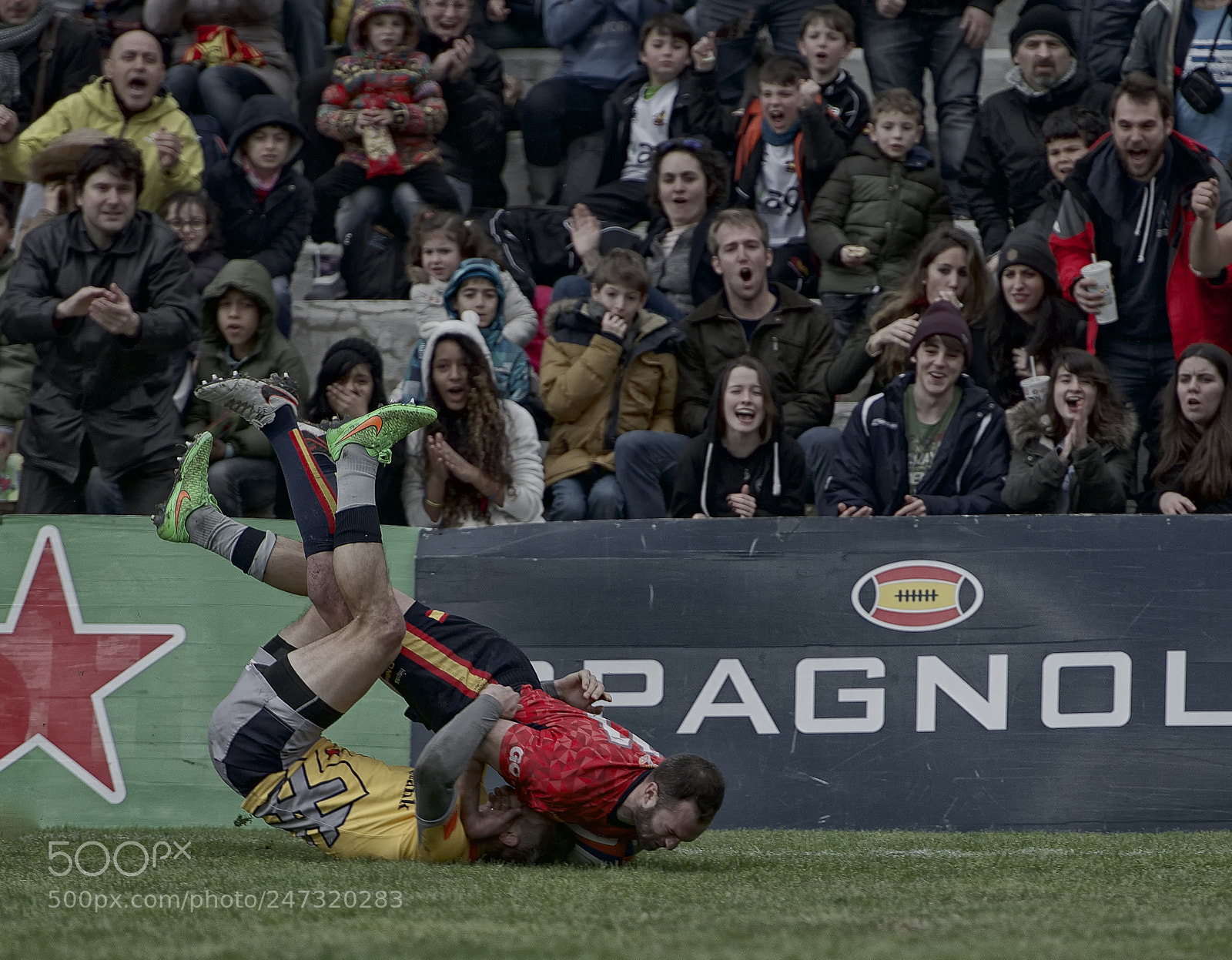 Nikon D800 sample photo. ¡vamos, leones! photography
