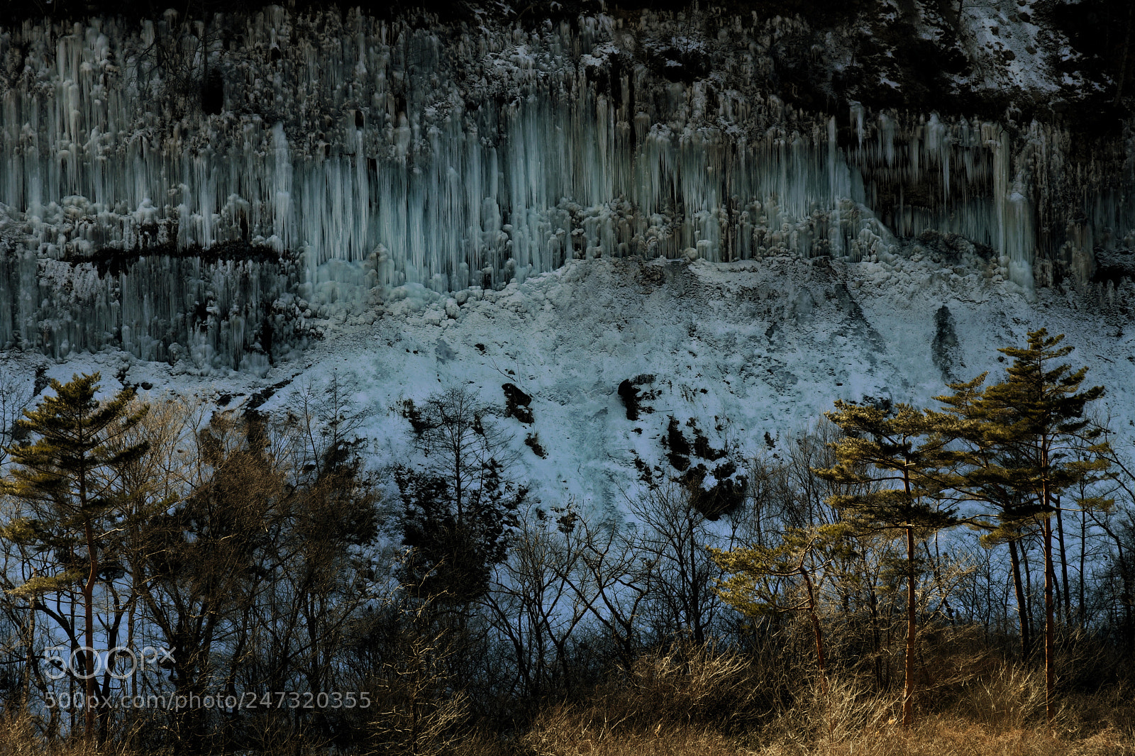 Nikon D500 sample photo. Untitled photography
