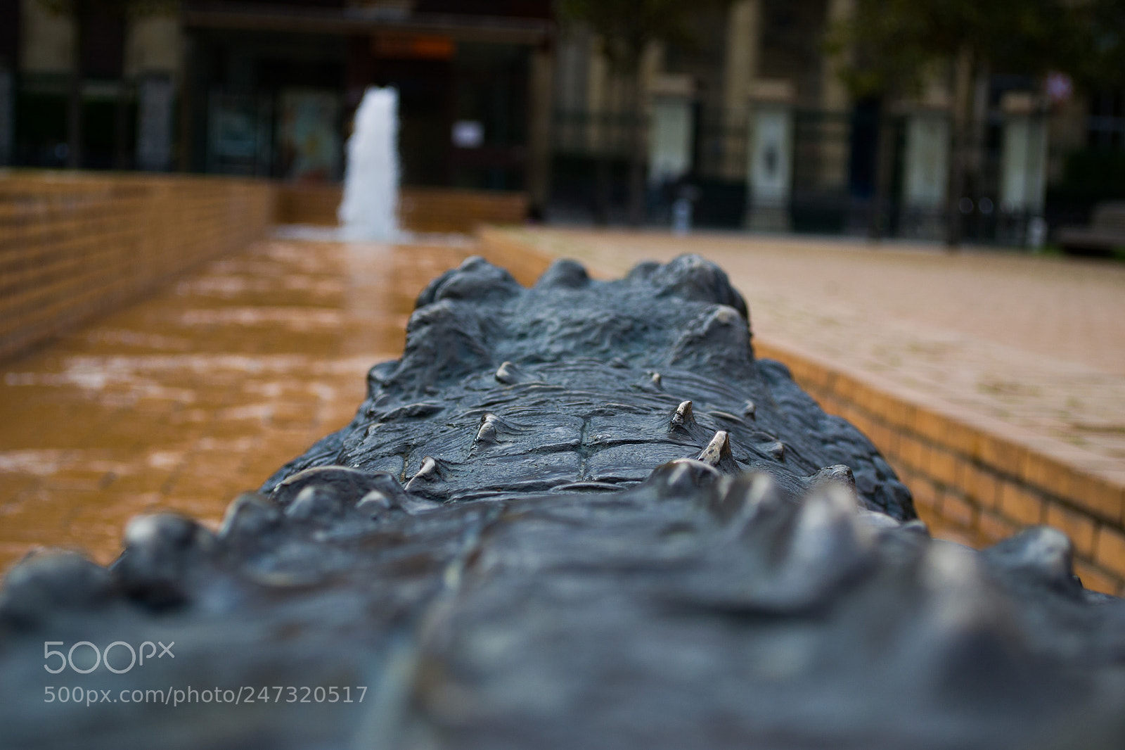 Nikon D3100 sample photo. Untitled photography