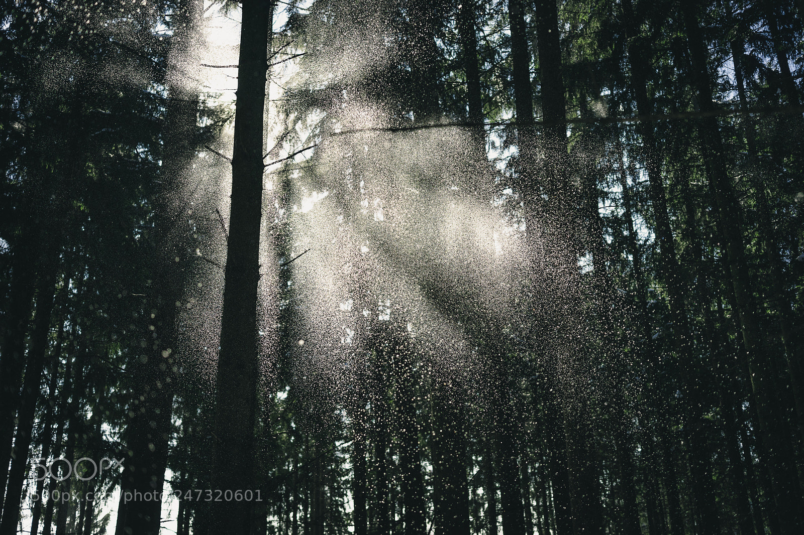 Sony a7 sample photo. Rays of light photography