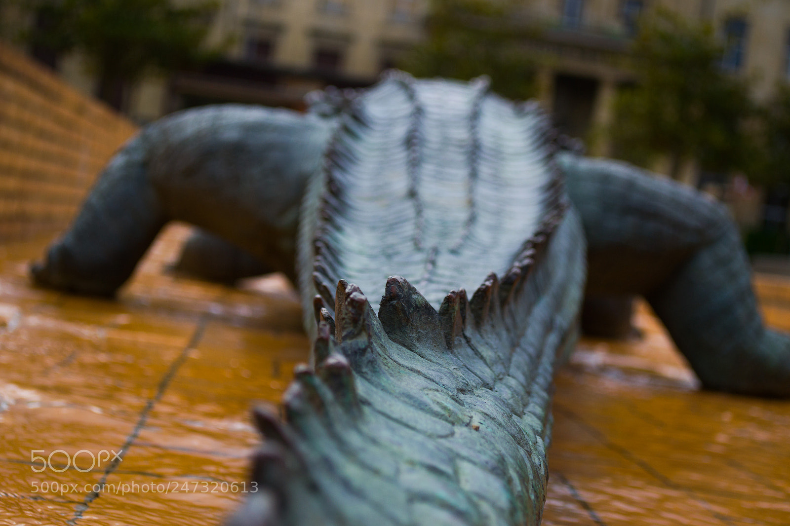 Nikon D3100 sample photo. Untitled photography