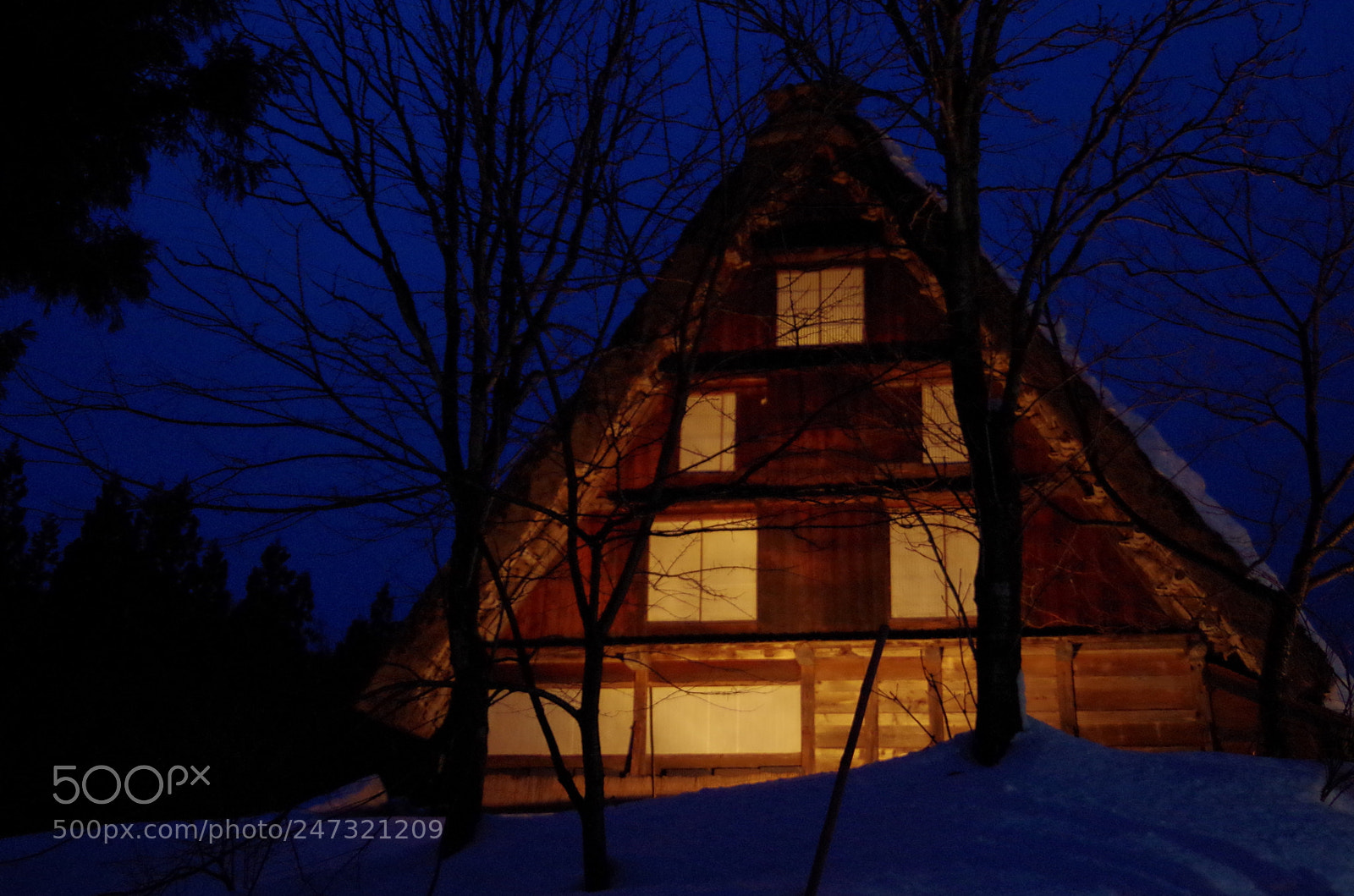 Pentax K-50 sample photo. Seijaku photography