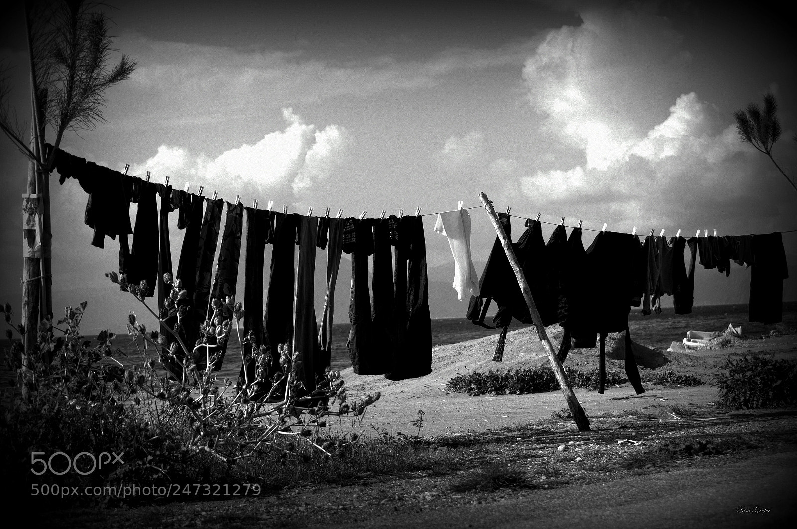 Nikon D5100 sample photo. Untitled photography