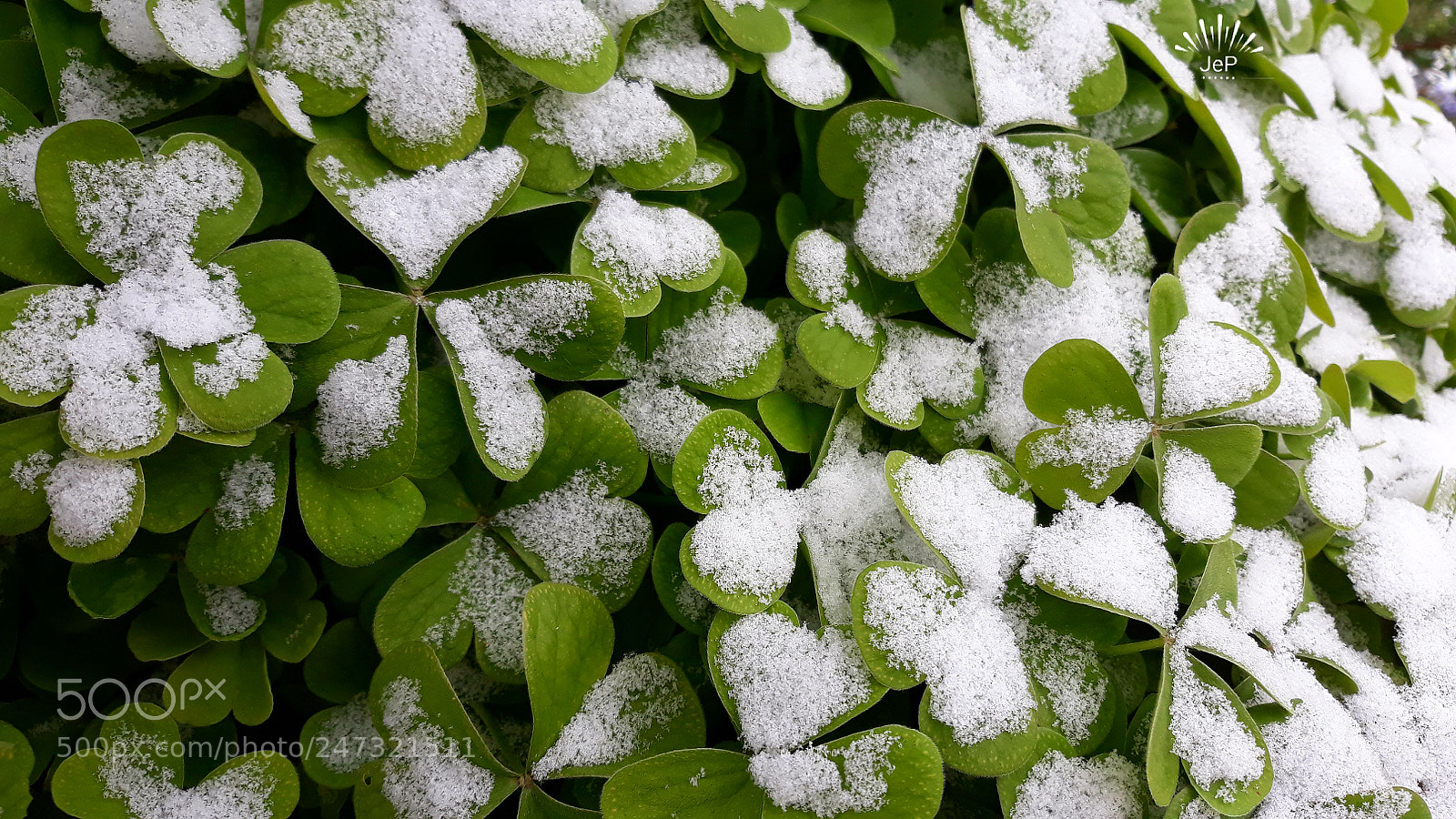 Samsung Galaxy J7 sample photo. ... photography
