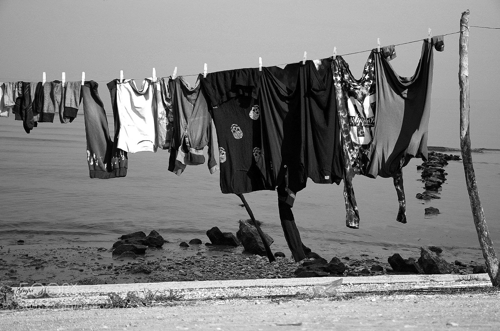 Nikon D5100 sample photo. Untitled photography