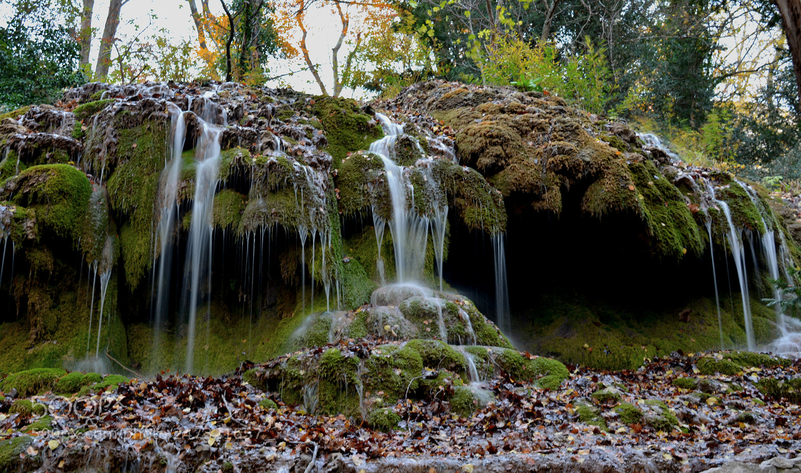 Nikon D5200 sample photo. St pons photography
