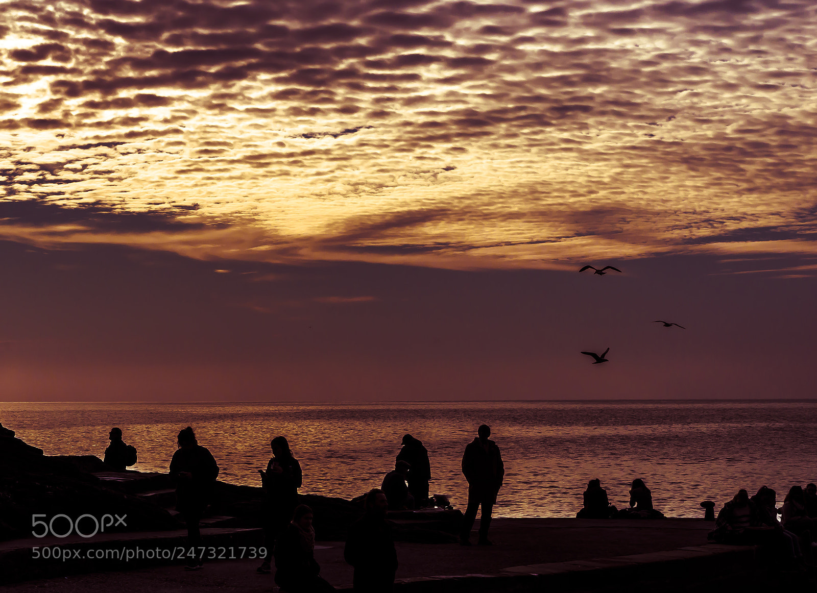 Pentax K-5 sample photo. Lost in sunset..... photography