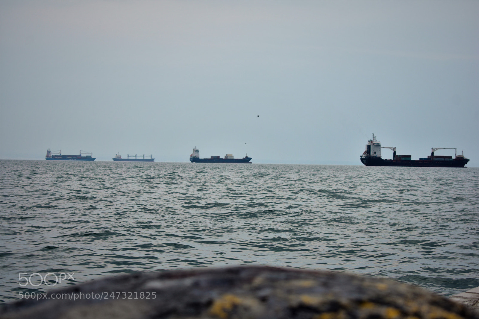 Nikon D3400 sample photo. Skg photography