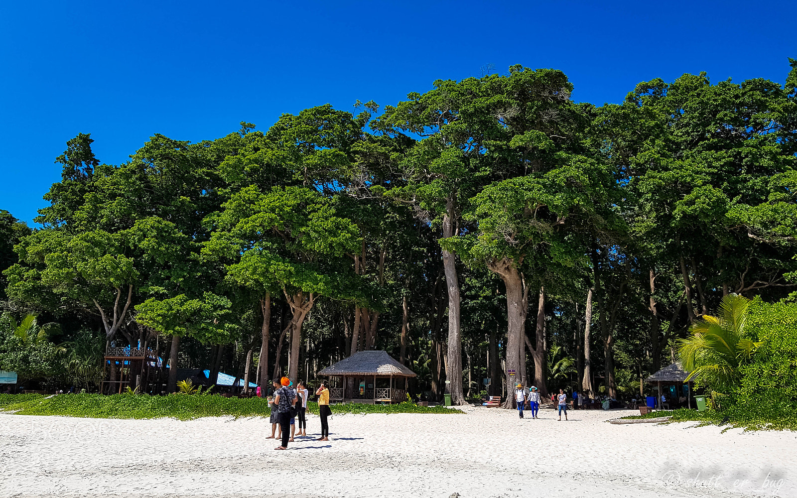 Samsung Galaxy S8 sample photo. Jungle beach photography