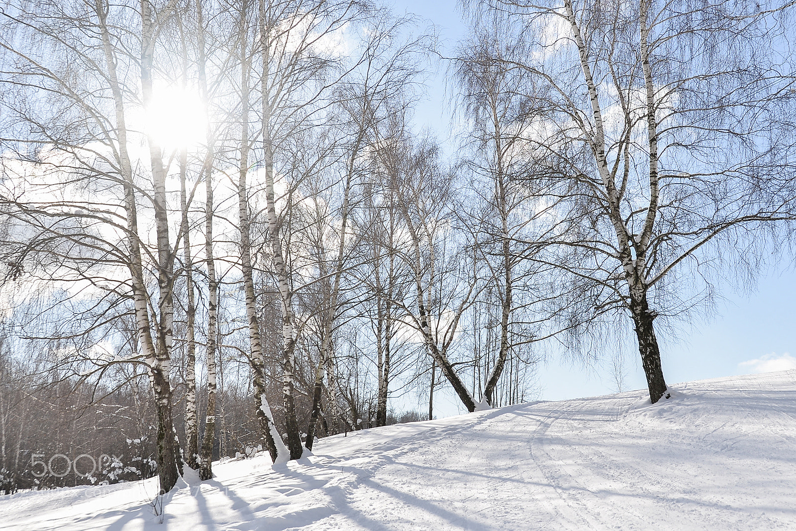 Nikon D610 sample photo. The freezing day photography