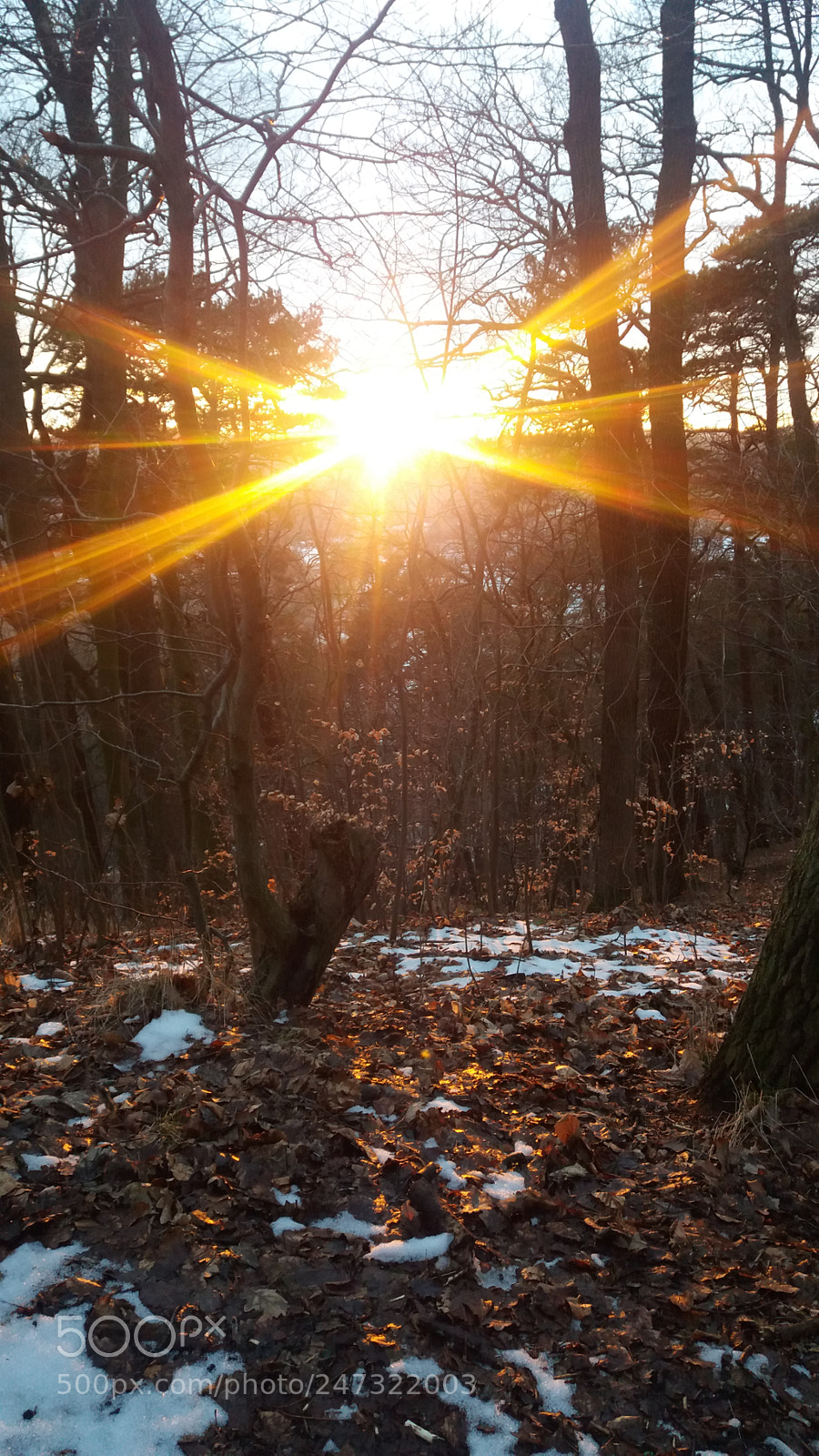 Samsung Galaxy J5 sample photo. Sunset photography